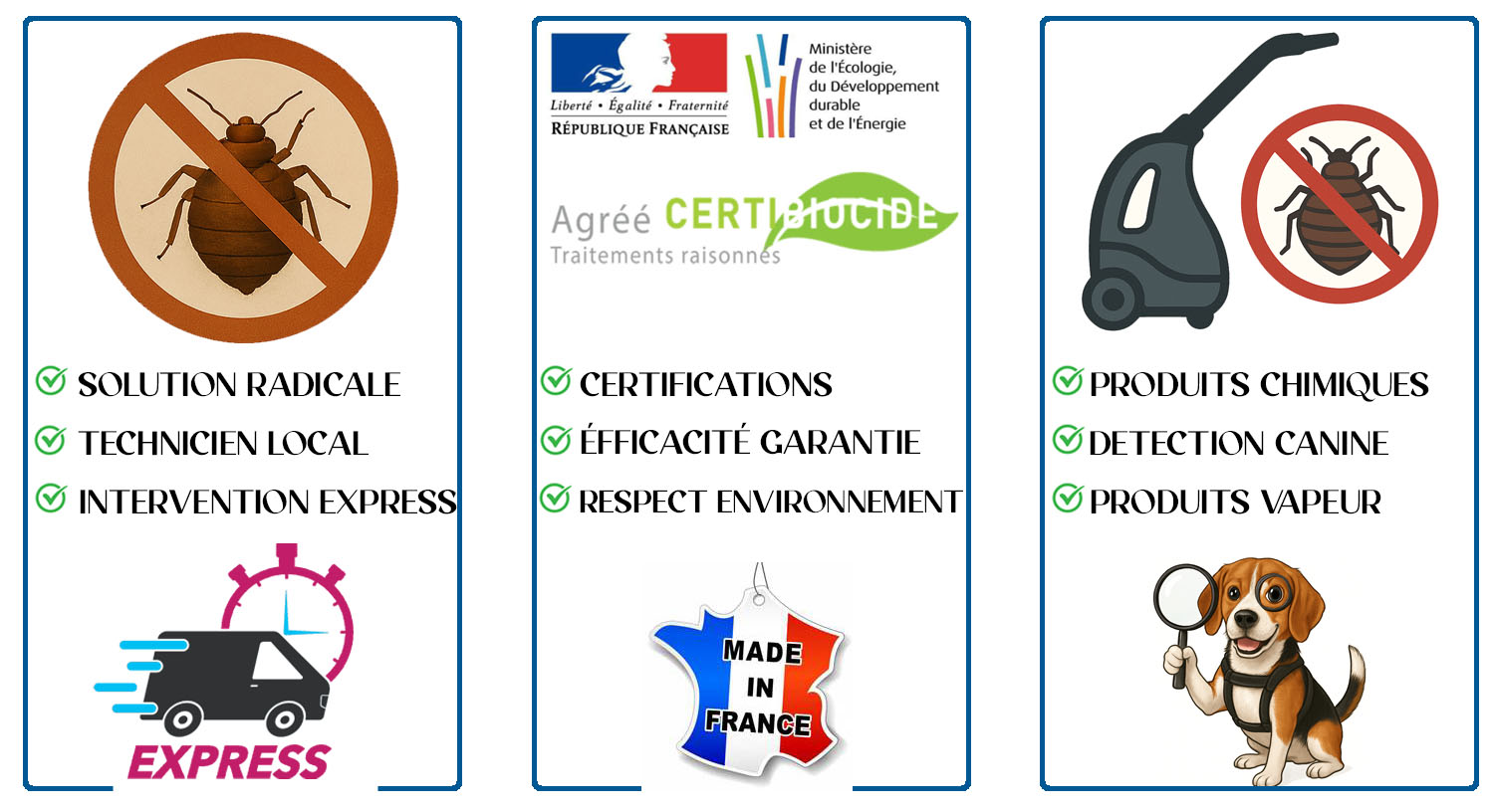 Punaises de Lit Saint Maurice