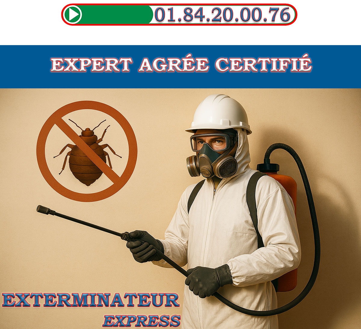 Punaises de Lit Saint Maurice